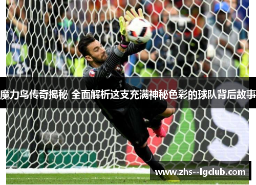 魔力鸟传奇揭秘 全面解析这支充满神秘色彩的球队背后故事