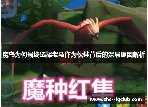 魔鸟为何最终选择老马作为伙伴背后的深层原因解析