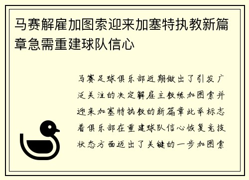 马赛解雇加图索迎来加塞特执教新篇章急需重建球队信心 马赛解雇加图索迎来加塞特执教新篇章急需重建球队信心