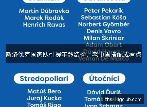 斯洛伐克国家队引援年龄结构,老中青搭配成看点 斯洛伐克国家队引援年龄结构,老中青搭配成看点
